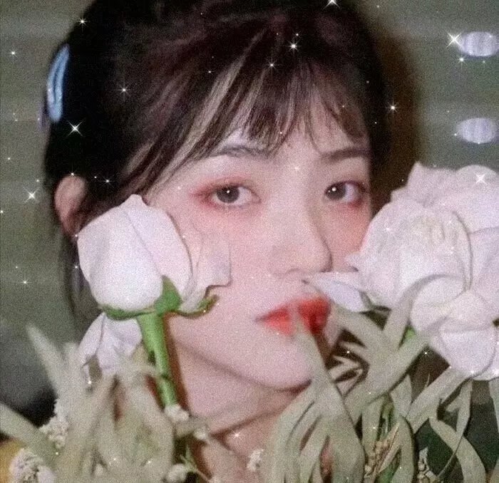 幸福密码